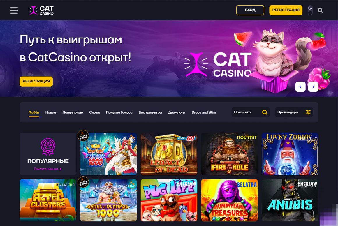  Cat Casino - зеркало официального сайта