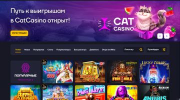 Официальный сайт Cat Casino